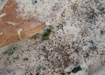 Gnocchi s baklažánovo-syrovou omáčkou